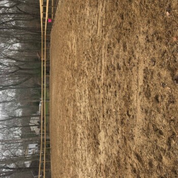 Horse Arena-equipment