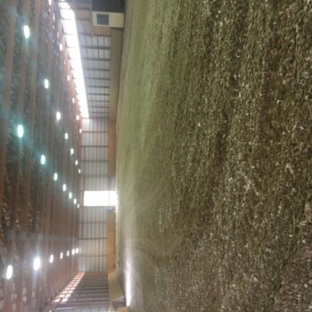 horse arena long island
